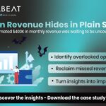 Maximizing Revenue via PWL Optimization